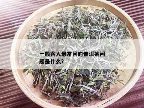 一般客人最常问的普洱茶问题是什么？