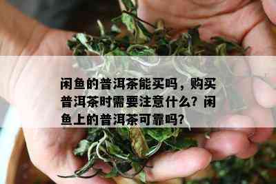 闲鱼的普洱茶能买吗，购买普洱茶时需要注意什么？闲鱼上的普洱茶可靠吗？