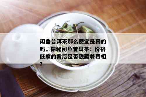 闲鱼普洱茶那么便宜是真的吗，探秘闲鱼普洱茶：价格低廉的背后是否隐藏着真相？