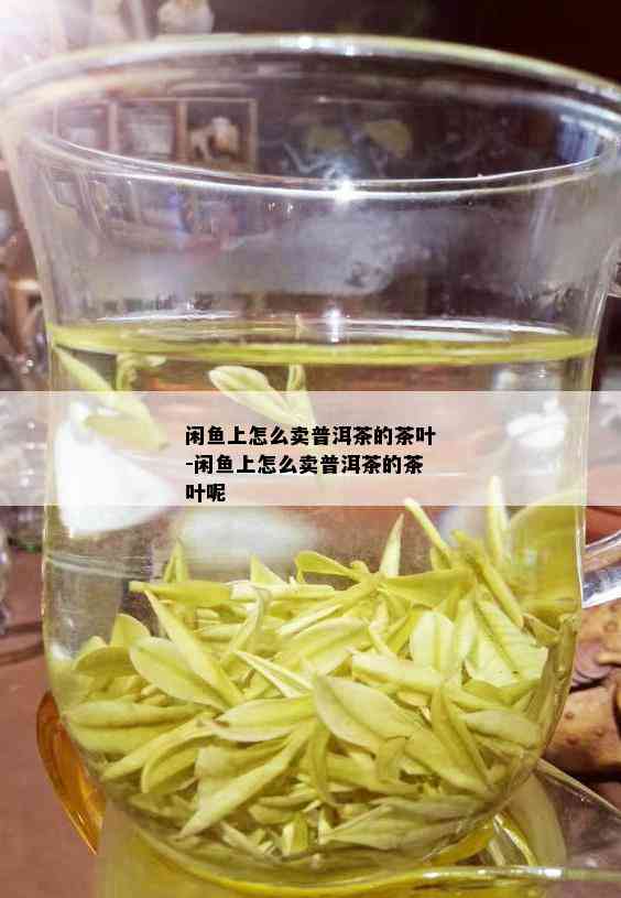 闲鱼上怎么卖普洱茶的茶叶-闲鱼上怎么卖普洱茶的茶叶呢