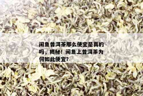 闲鱼普洱茶那么便宜是真的吗，揭秘！闲鱼上普洱茶为何如此便宜？