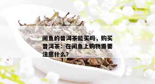 闲鱼的普洱茶能买吗，购买普洱茶：在闲鱼上购物需要注意什么？