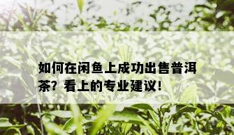 如何在闲鱼上成功出售普洱茶？看上的专业建议！