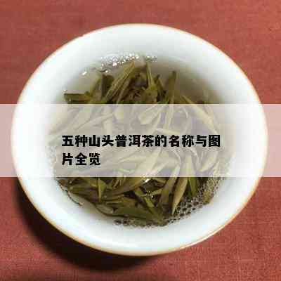 五种山头普洱茶的名称与图片全览