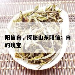 阳信白，探秘山东阳信：白的瑰宝