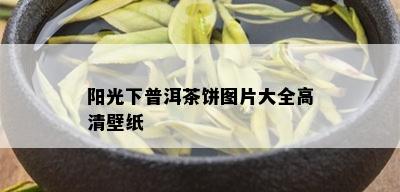 阳光下普洱茶饼图片大全高清壁纸