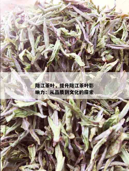 阳江茶叶，提升阳江茶叶影响力：从品质到文化的探索