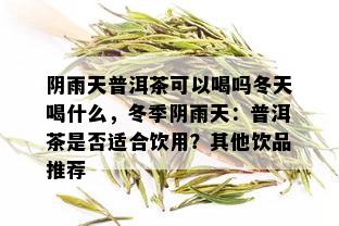 阴雨天普洱茶可以喝吗冬天喝什么，冬季阴雨天：普洱茶是否适合饮用？其他饮品推荐