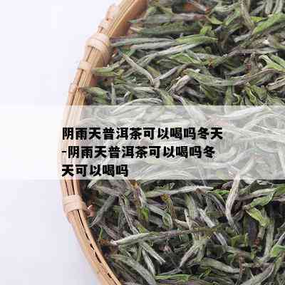 阴雨天普洱茶可以喝吗冬天-阴雨天普洱茶可以喝吗冬天可以喝吗