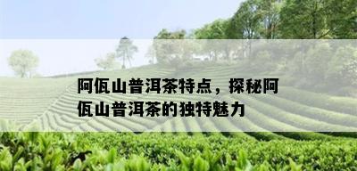 阿佤山普洱茶特点，探秘阿佤山普洱茶的独特魅力