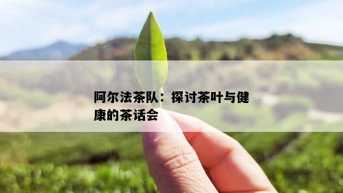 阿尔法茶队：探讨茶叶与健康的茶话会