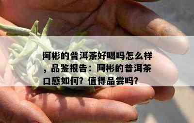 阿彬的普洱茶好喝吗怎么样，品鉴报告：阿彬的普洱茶口感如何？值得品尝吗？