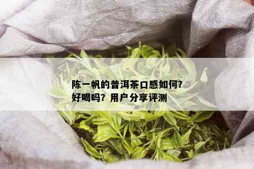 陈一帆的普洱茶口感如何？好喝吗？用户分享评测