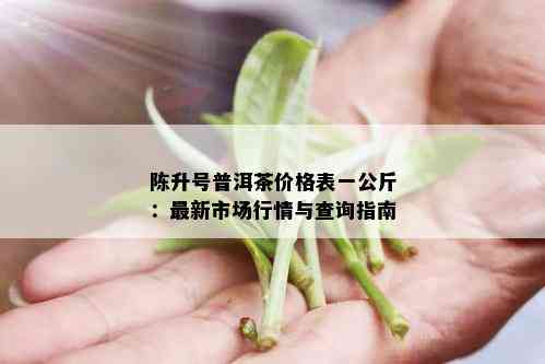 陈升号普洱茶价格表一公斤：最新市场行情与查询指南