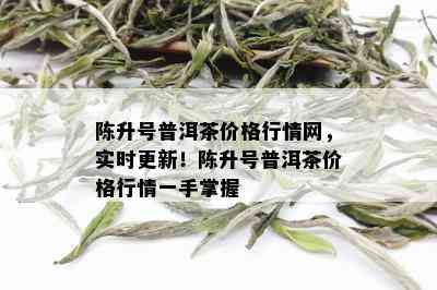 陈升号普洱茶价格行情网，实时更新！陈升号普洱茶价格行情一手掌握