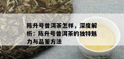 陈升号普洱茶怎样，深度解析：陈升号普洱茶的独特魅力与品鉴方法