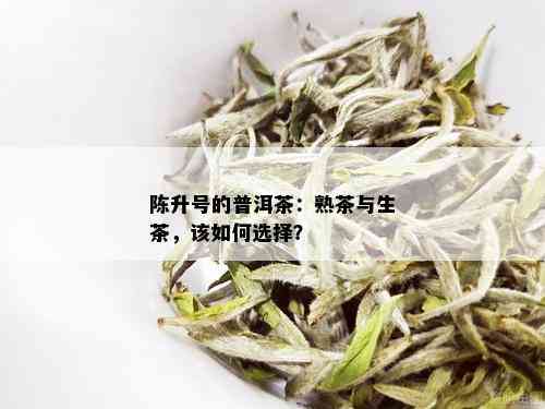 陈升号的普洱茶：熟茶与生茶，该如何选择？