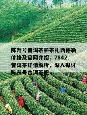 陈升号普洱茶熟茶扎西德勒价格及官网介绍，7842普洱茶详情解析，深入探讨陈升号普洱茶吧