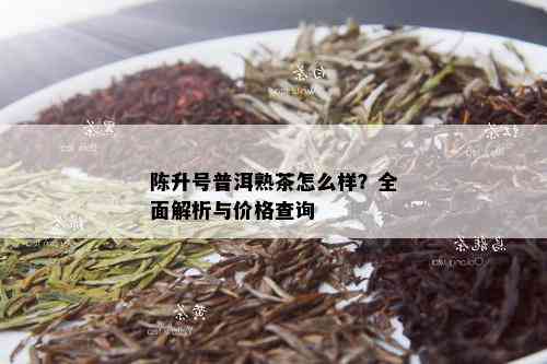 陈升号普洱熟茶怎么样？全面解析与价格查询