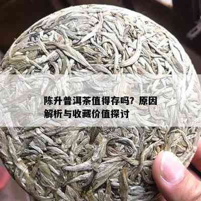 陈升普洱茶值得存吗？原因解析与收藏价值探讨