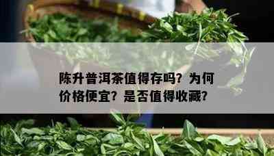 陈升普洱茶值得存吗？为何价格便宜？是否值得收藏？