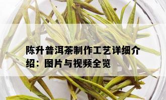 陈升普洱茶制作工艺详细介绍：图片与视频全览