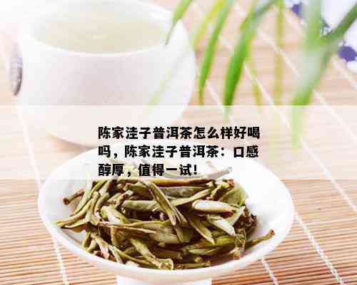 陈家洼子普洱茶怎么样好喝吗，陈家洼子普洱茶：口感醇厚，值得一试！