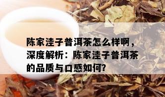 陈家洼子普洱茶怎么样啊，深度解析：陈家洼子普洱茶的品质与口感如何？