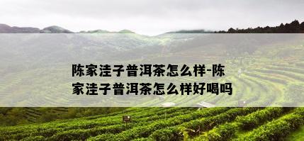 陈家洼子普洱茶怎么样-陈家洼子普洱茶怎么样好喝吗