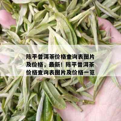 陈平普洱茶价格查询表图片及价格，最新！陈平普洱茶价格查询表图片及价格一览