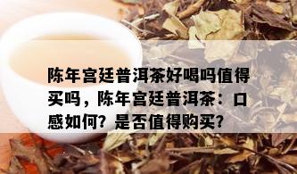 陈年宫廷普洱茶好喝吗值得买吗，陈年宫廷普洱茶：口感如何？是否值得购买？