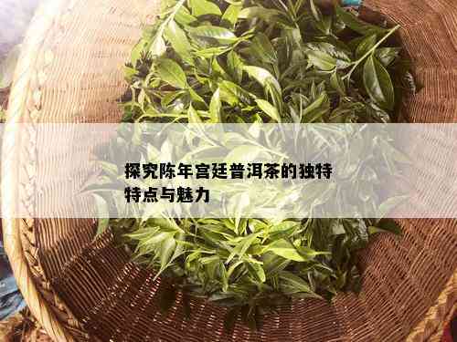 探究陈年宫廷普洱茶的独特特点与魅力