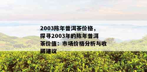 2003陈年普洱茶价格，探寻2003年的陈年普洱茶价值：市场价格分析与收藏建议