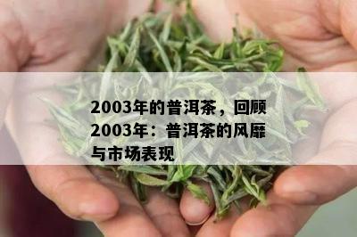 2003年的普洱茶，回顾2003年：普洱茶的风靡与市场表现