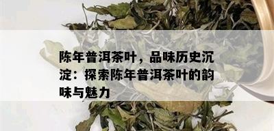 陈年普洱茶叶，品味历史沉淀：探索陈年普洱茶叶的韵味与魅力