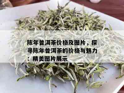 陈年普洱茶价格及图片，探寻陈年普洱茶的价格与魅力：精美图片展示