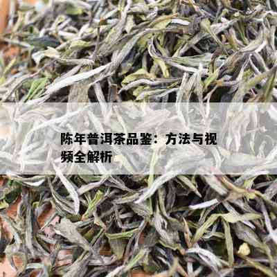 陈年普洱茶品鉴：方法与视频全解析