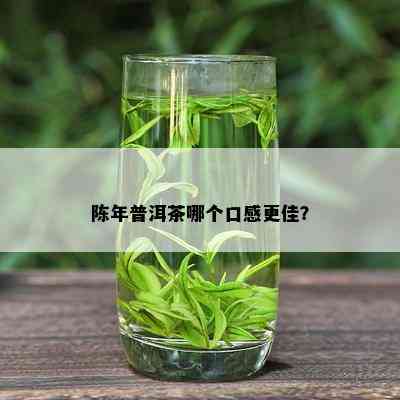 陈年普洱茶哪个口感更佳？