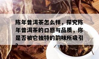 陈年普洱茶怎么样，探究陈年普洱茶的口感与品质，你是否被它独特的韵味所吸引？