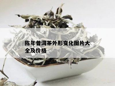 陈年普洱茶外形变化图片大全及价格