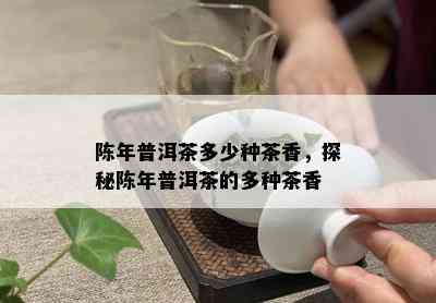 陈年普洱茶多少种茶香，探秘陈年普洱茶的多种茶香