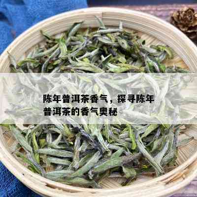 陈年普洱茶香气，探寻陈年普洱茶的香气奥秘