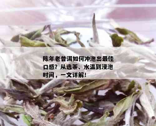 陈年老普洱如何冲泡出更佳口感？从选茶、水温到浸泡时间，一文详解！