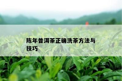 陈年普洱茶正确洗茶方法与技巧