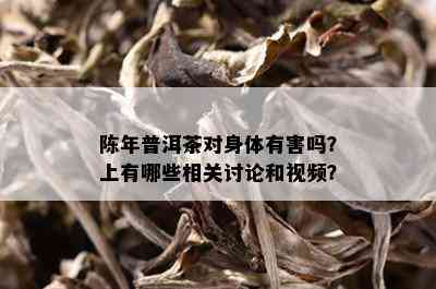 陈年普洱茶对身体有害吗？上有哪些相关讨论和视频？