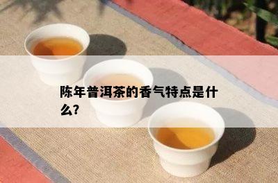 陈年普洱茶的香气特点是什么？