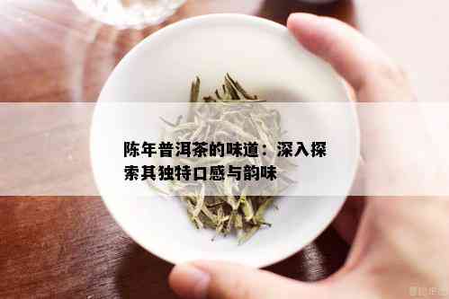 陈年普洱茶的味道：深入探索其独特口感与韵味