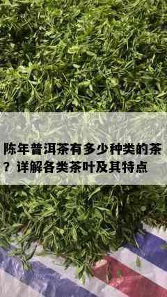 陈年普洱茶有多少种类的茶？详解各类茶叶及其特点