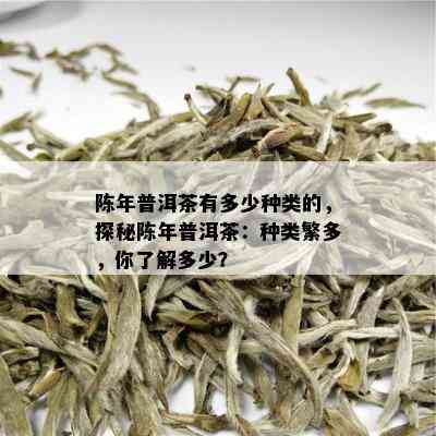 陈年普洱茶有多少种类的，探秘陈年普洱茶：种类繁多，你了解多少？