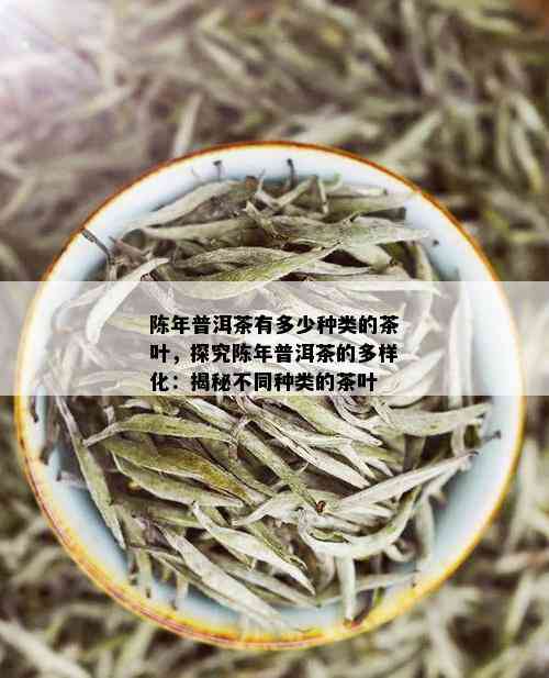 陈年普洱茶有多少种类的茶叶，探究陈年普洱茶的多样化：揭秘不同种类的茶叶